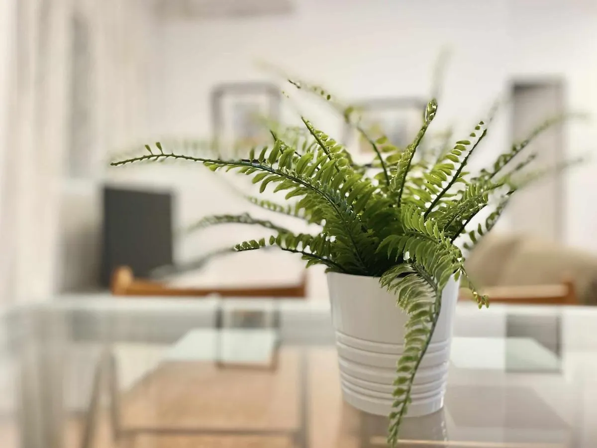 Διαμέρισμα Apartamento En El Centro De Malaga, En El Soho Ισπανία